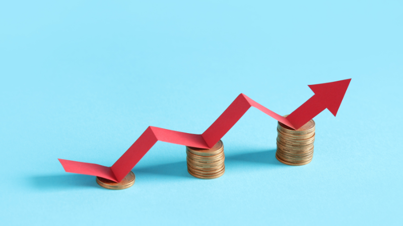 money-showing-domain-name-price-increases-october-2025