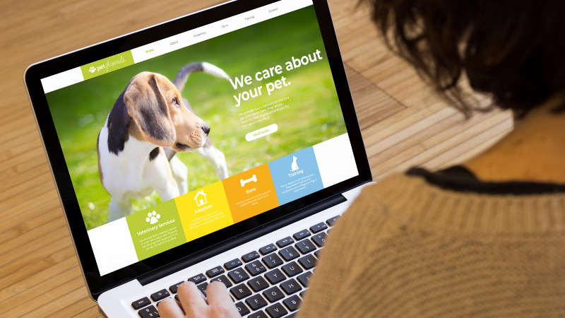 woman-using-site-on-articulation-sitebuilder